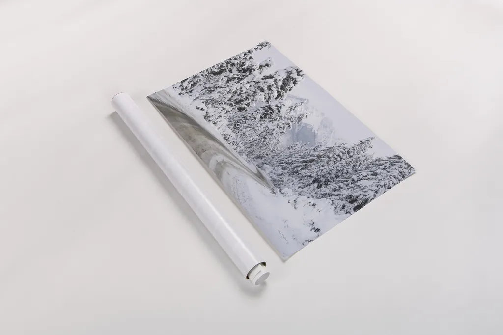 Mount Baker Highway I by Alan Majchrowicz. shown as a rolled paper print. Available as archival giclee rolled canvas, fine art paper, or poster print. SKU 60619i.