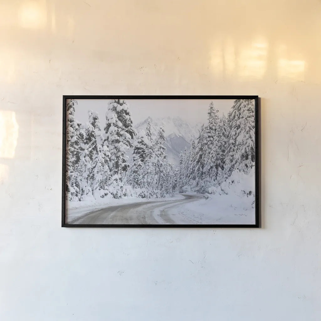 Mount Baker Highway I by Alan Majchrowicz. shown as a paper print in a black flame. Available as a archival giclee rolled canvas, fine art paper, or poster print. SKU 60619i.