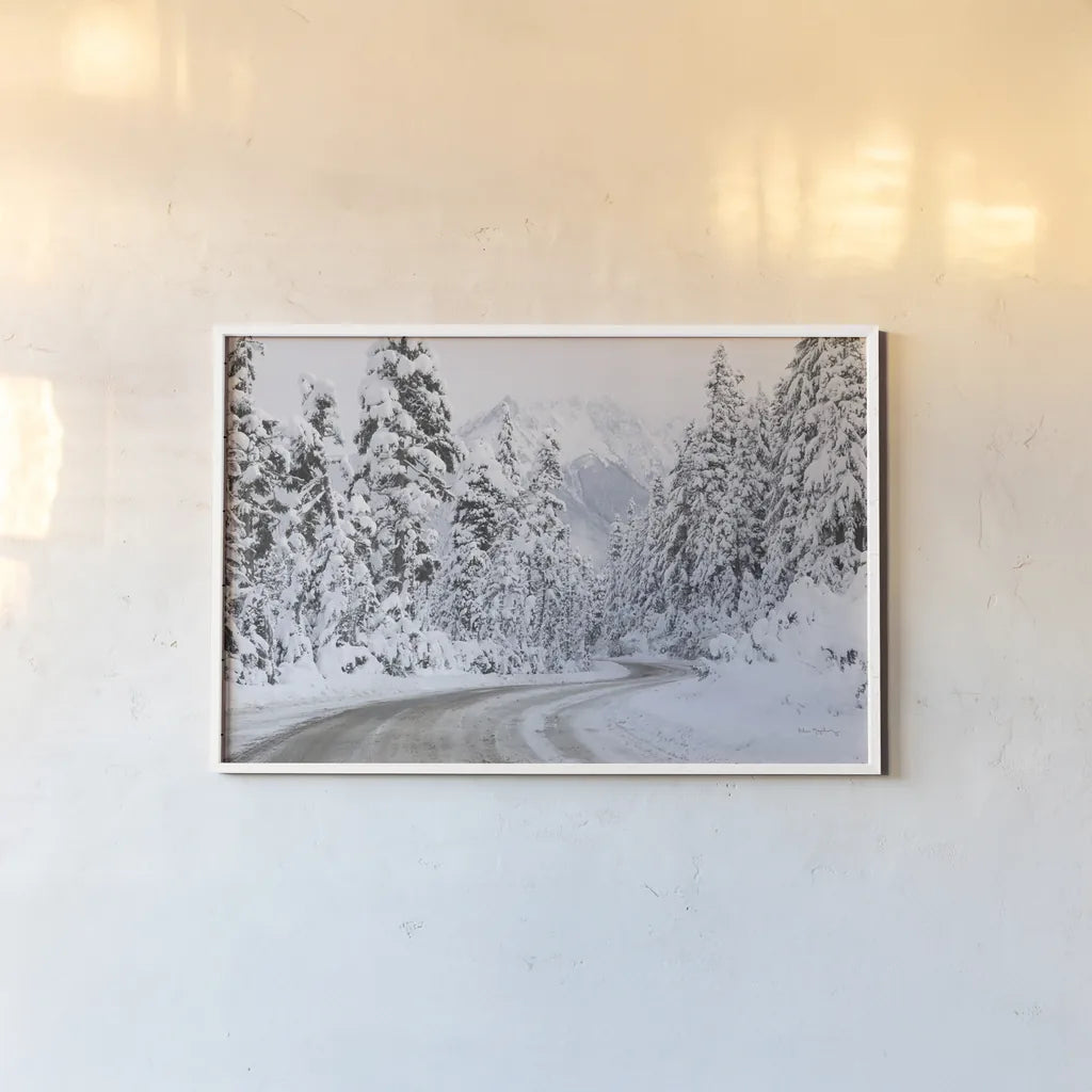 Mount Baker Highway I by Alan Majchrowicz. shown as a paper print in a white frame. Available as a archival giclee rolled canvas, fine art paper, or poster print. SKU 60619i.