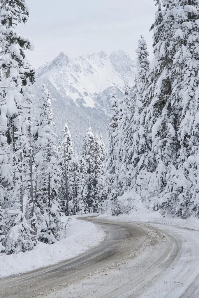 Mount Baker Highway II by Alan Majchrowicz. SKU 60620h. Archival Giclee Fine art print for wall decor.