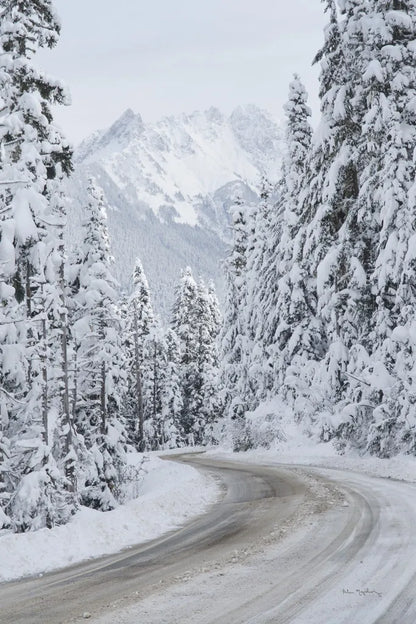 Mount Baker Highway II by Alan Majchrowicz. SKU 60620h. Archival Giclee Fine art print for wall decor.