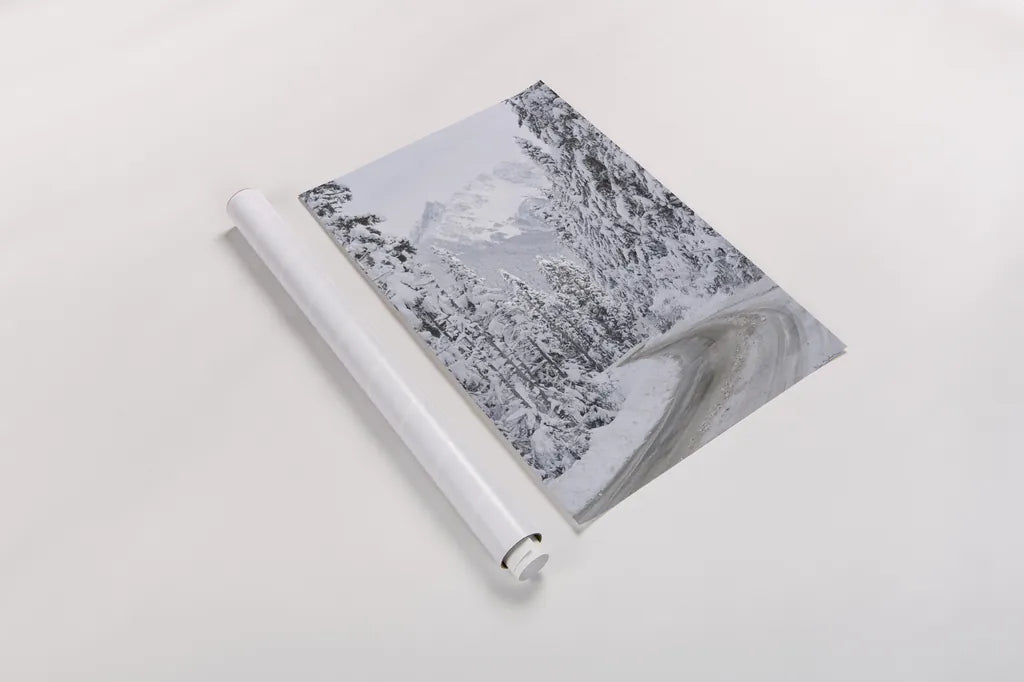 Mount Baker Highway II by Alan Majchrowicz. shown as a rolled paper print. Available as archival giclee rolled canvas, fine art paper, or poster print. SKU 60620h.