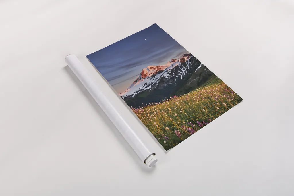 Mount Baker Wildflowers by Alan Majchrowicz. shown as a rolled paper print. Available as archival giclee rolled canvas, fine art paper, or poster print. SKU 86350h.
