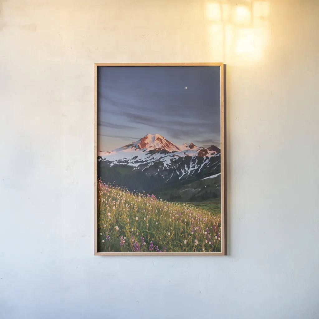 Mount Baker Wildflowers by Alan Majchrowicz. shown as a paper print in a natural frame. Available as a archival giclee rolled canvas, fine art paper, or poster print. SKU 86350h.