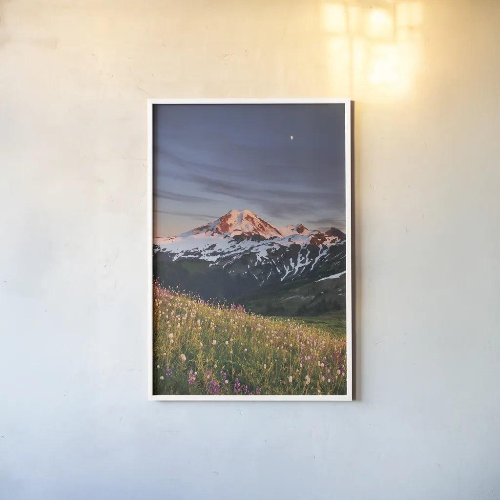Mount Baker Wildflowers by Alan Majchrowicz. shown as a paper print in a white frame. Available as a archival giclee rolled canvas, fine art paper, or poster print. SKU 86350h.
