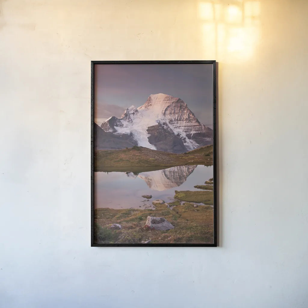 Mount Robson by Alan Majchrowicz. shown as a paper print in a black flame. Available as a archival giclee rolled canvas, fine art paper, or poster print. SKU 28091h.