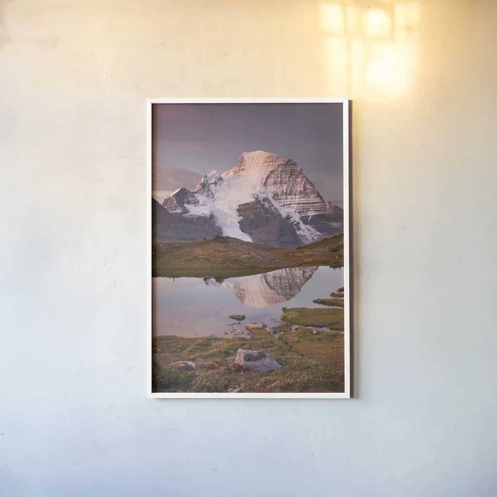 Mount Robson by Alan Majchrowicz. shown as a paper print in a white frame. Available as a archival giclee rolled canvas, fine art paper, or poster print. SKU 28091h.