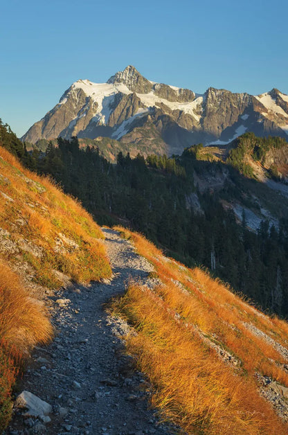 Mount Shuksan North Cascades by Alan Majchrowicz. SKU 62394h. Archival Giclee Fine art print for wall decor.