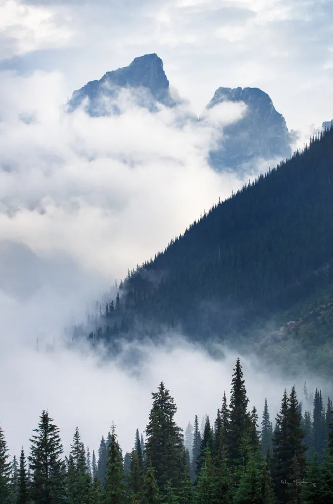 Mountain Fog by Alan Majchrowicz. SKU 77221h. Archival Giclee Fine art print for wall decor.