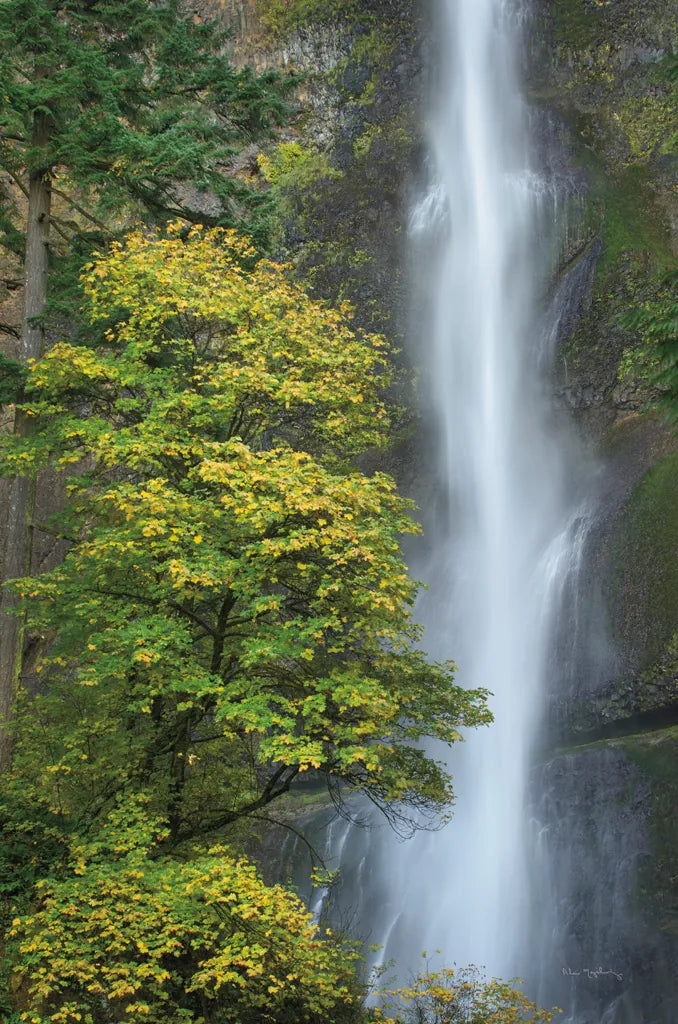 Multnomah Falls color by Alan Majchrowicz. SKU 48124h. Archival Giclee Fine art print for wall decor.