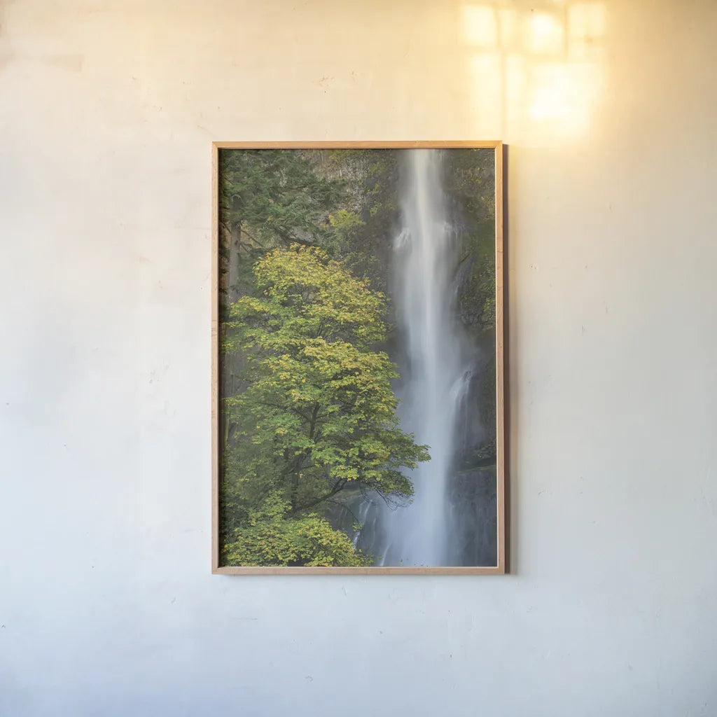 Multnomah Falls color by Alan Majchrowicz. shown as a paper print in a natural frame. Available as a archival giclee rolled canvas, fine art paper, or poster print. SKU 48124h.