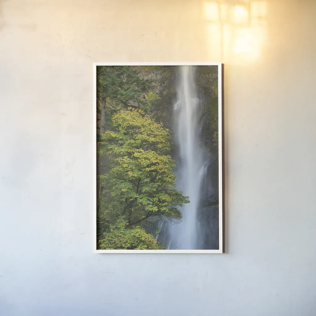 Multnomah Falls color by Alan Majchrowicz. shown as a paper print in a white frame. Available as a archival giclee rolled canvas, fine art paper, or poster print. SKU 48124h.