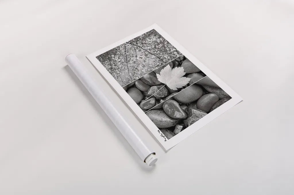 Nature Trio by Alan Majchrowicz. shown as a rolled paper print. Available as archival giclee rolled canvas, fine art paper, or poster print. SKU 2990i.