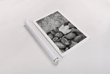 Nature Trio by Alan Majchrowicz. shown as a rolled paper print. Available as archival giclee rolled canvas, fine art paper, or poster print. SKU 2990i.