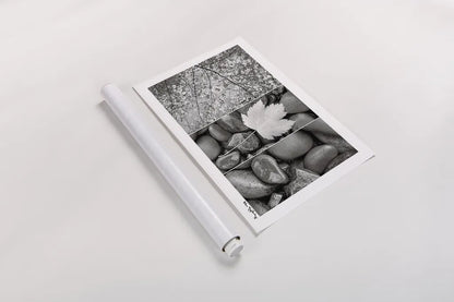 Nature Trio by Alan Majchrowicz. shown as a rolled paper print. Available as archival giclee rolled canvas, fine art paper, or poster print. SKU 2990i.