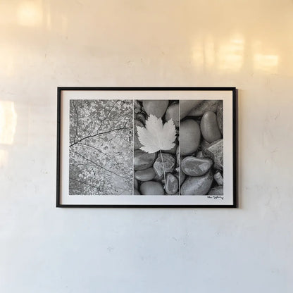 Nature Trio by Alan Majchrowicz. shown as a paper print in a black flame. Available as a archival giclee rolled canvas, fine art paper, or poster print. SKU 2990i.