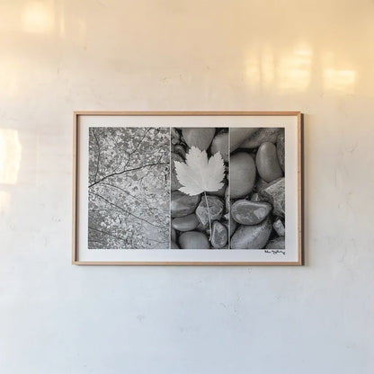 Nature Trio by Alan Majchrowicz. shown as a paper print in a natural frame. Available as a archival giclee rolled canvas, fine art paper, or poster print. SKU 2990i.