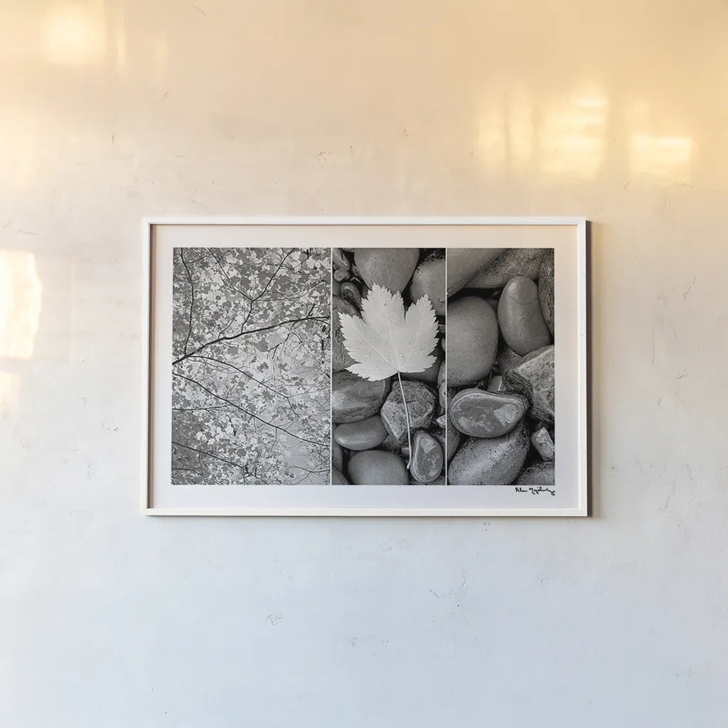 Nature Trio by Alan Majchrowicz. shown as a paper print in a white frame. Available as a archival giclee rolled canvas, fine art paper, or poster print. SKU 2990i.