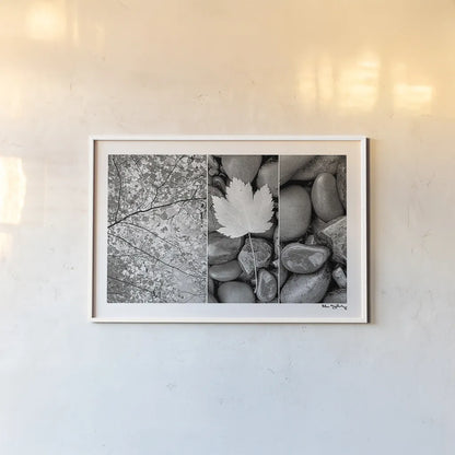 Nature Trio by Alan Majchrowicz. shown as a paper print in a white frame. Available as a archival giclee rolled canvas, fine art paper, or poster print. SKU 2990i.