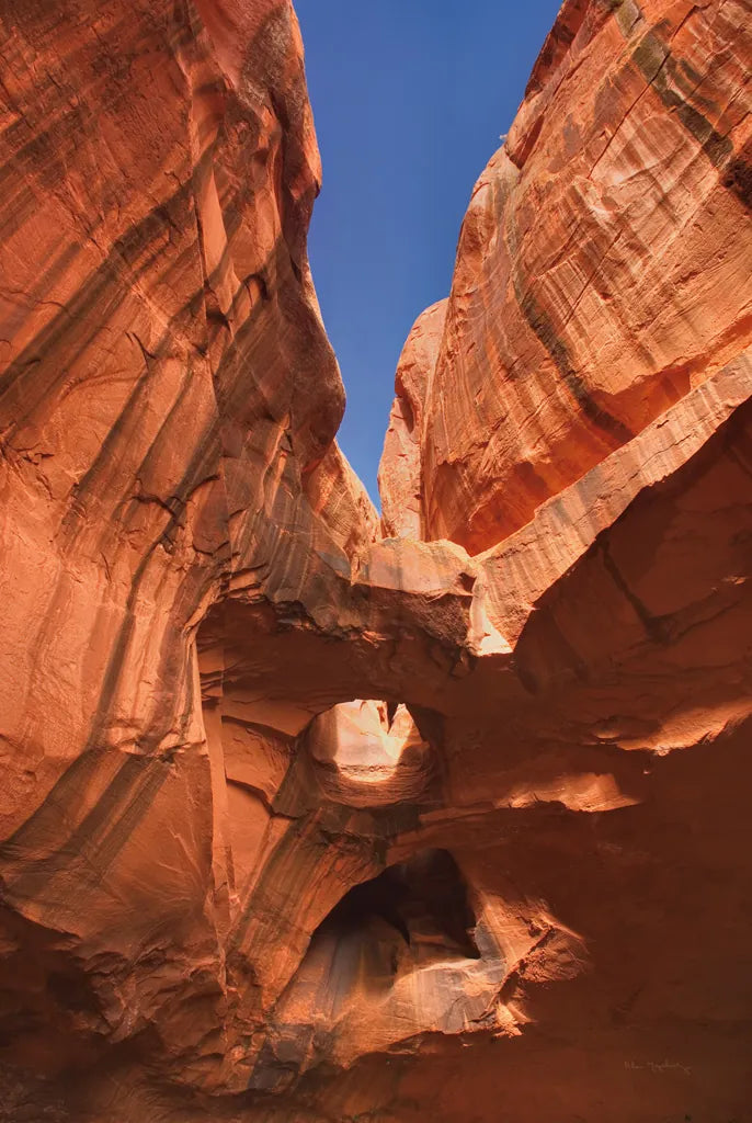 Neon Canyon I by Alan Majchrowicz. SKU 53583h. Archival Giclee Fine art print for wall decor.