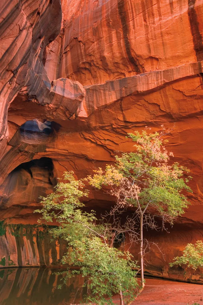 Neon Canyon III by Alan Majchrowicz. SKU 53874h. Archival Giclee Fine art print for wall decor.