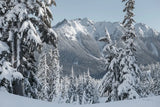 Nooksack Ridge in Winter by Alan Majchrowicz. SKU 60625i. Archival Giclee Fine art print for wall decor.