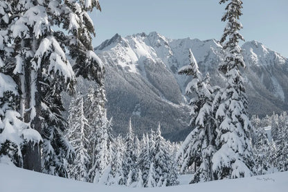 Nooksack Ridge in Winter by Alan Majchrowicz. SKU 60625i. Archival Giclee Fine art print for wall decor.