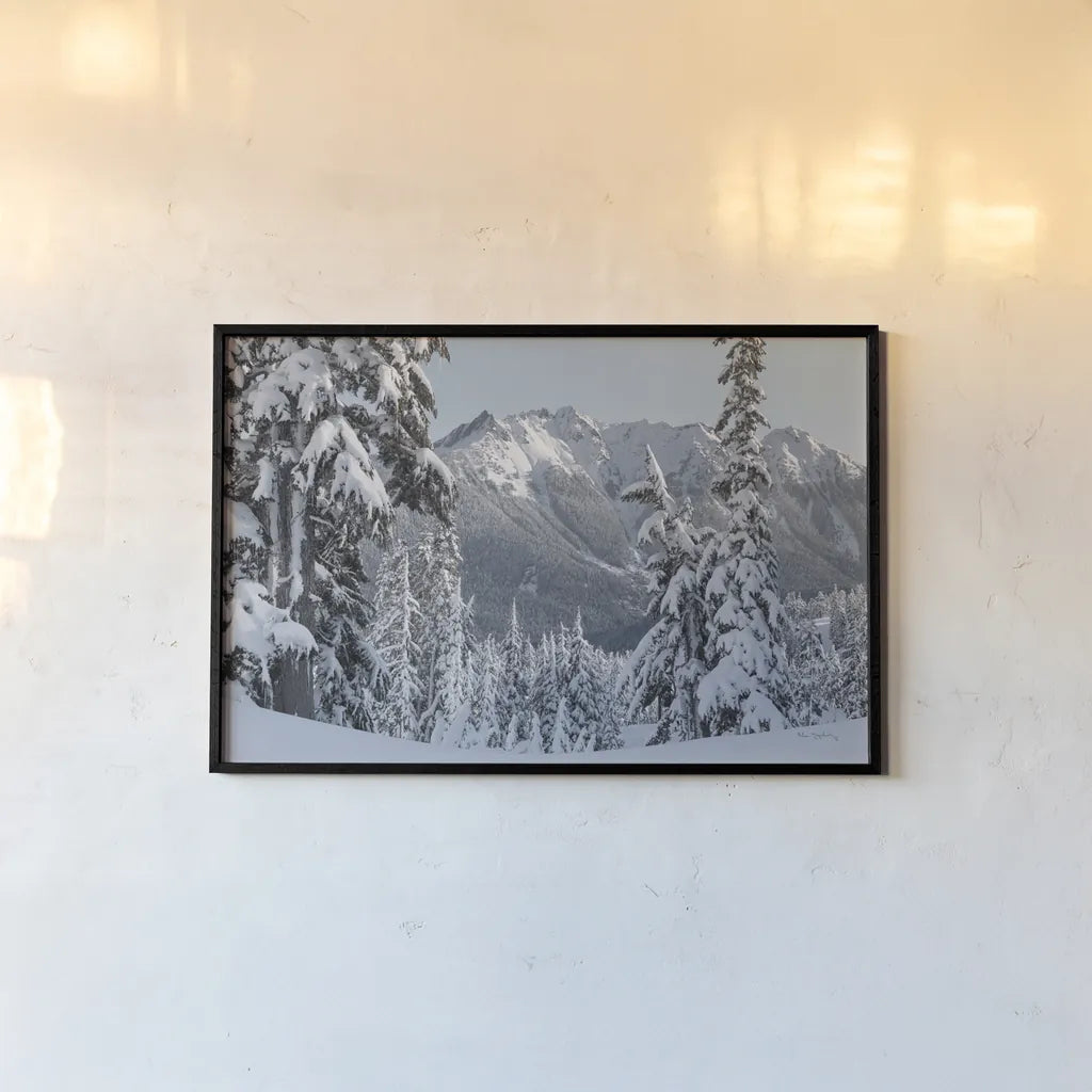 Nooksack Ridge in Winter by Alan Majchrowicz. shown as a paper print in a black flame. Available as a archival giclee rolled canvas, fine art paper, or poster print. SKU 60625i.