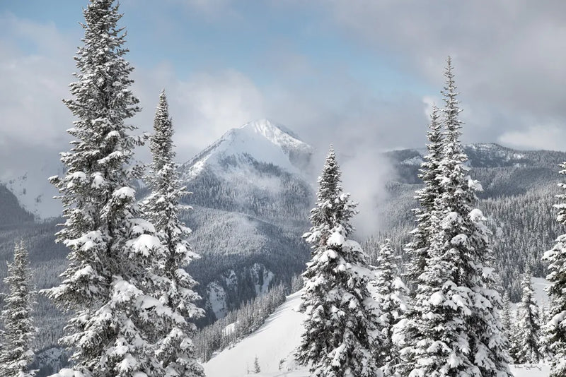 North Cascades in Winter I by Alan Majchrowicz. SKU 60621i. Archival Giclee Fine art print for wall decor.