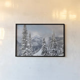 North Cascades in Winter I by Alan Majchrowicz. shown as a paper print in a black flame. Available as a archival giclee rolled canvas, fine art paper, or poster print. SKU 60621i.