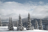 North Cascades in Winter II by Alan Majchrowicz. SKU 60622i. Archival Giclee Fine art print for wall decor.