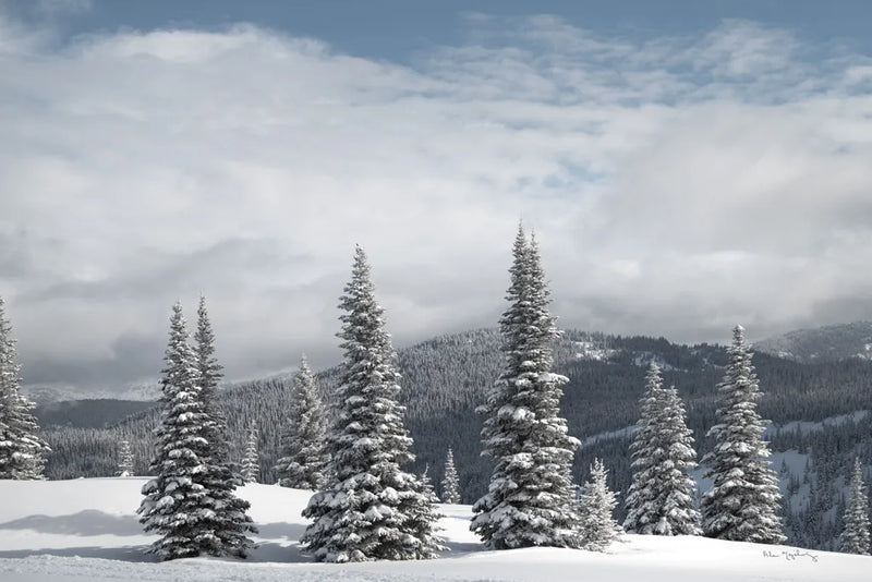 North Cascades in Winter II by Alan Majchrowicz. SKU 60622i. Archival Giclee Fine art print for wall decor.