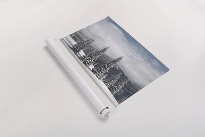 North Cascades in Winter II by Alan Majchrowicz. shown as a rolled paper print. Available as archival giclee rolled canvas, fine art paper, or poster print. SKU 60622i.