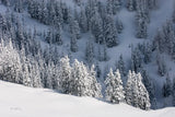 North Cascades in Winter III by Alan Majchrowicz. SKU 60623i. Archival Giclee Fine art print for wall decor.