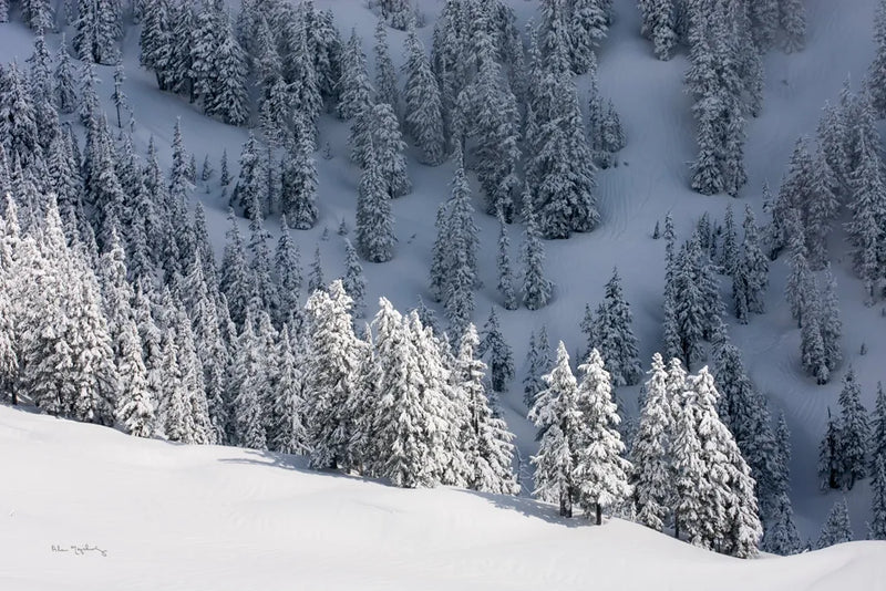 North Cascades in Winter III by Alan Majchrowicz. SKU 60623i. Archival Giclee Fine art print for wall decor.