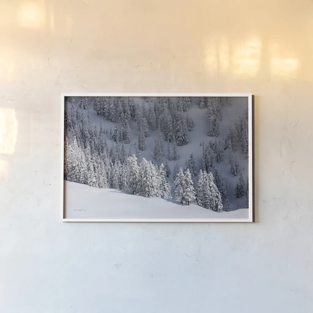 North Cascades in Winter III by Alan Majchrowicz. shown as a paper print in a white frame. Available as a archival giclee rolled canvas, fine art paper, or poster print. SKU 60623i.