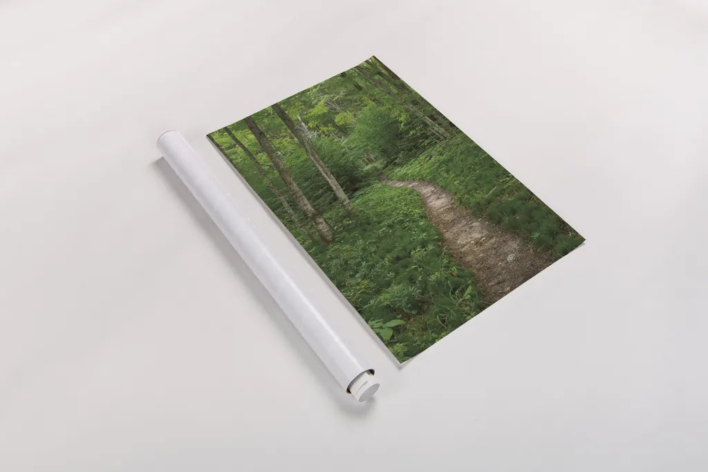 North Country Trail by Alan Majchrowicz. shown as a rolled paper print. Available as archival giclee rolled canvas, fine art paper, or poster print. SKU 62466h.