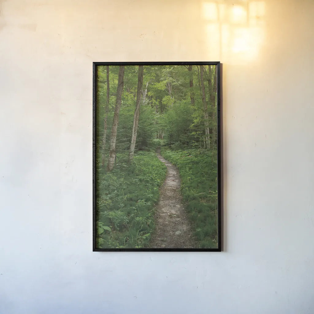 North Country Trail by Alan Majchrowicz. shown as a paper print in a black flame. Available as a archival giclee rolled canvas, fine art paper, or poster print. SKU 62466h.