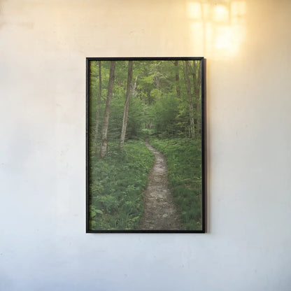 North Country Trail by Alan Majchrowicz. shown as a paper print in a black flame. Available as a archival giclee rolled canvas, fine art paper, or poster print. SKU 62466h.