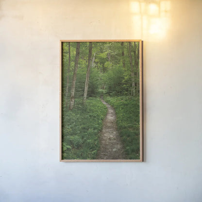 North Country Trail by Alan Majchrowicz. shown as a paper print in a natural frame. Available as a archival giclee rolled canvas, fine art paper, or poster print. SKU 62466h.