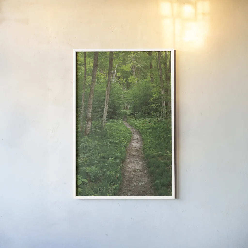 North Country Trail by Alan Majchrowicz. shown as a paper print in a white frame. Available as a archival giclee rolled canvas, fine art paper, or poster print. SKU 62466h.
