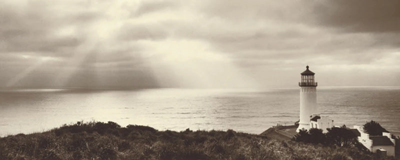North Head Crop by Alan Majchrowicz