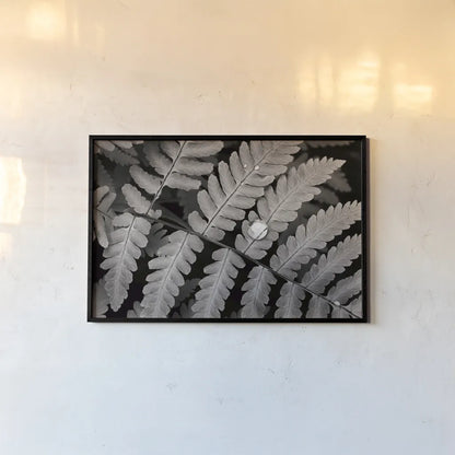 Oak Fern by Alan Majchrowicz. shown as a paper print in a black flame. Available as a archival giclee rolled canvas, fine art paper, or poster print. SKU 46087i.