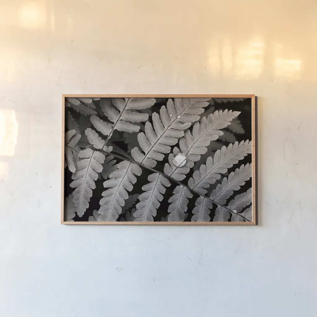 Oak Fern by Alan Majchrowicz. shown as a paper print in a natural frame. Available as a archival giclee rolled canvas, fine art paper, or poster print. SKU 46087i.