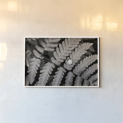 Oak Fern by Alan Majchrowicz. shown as a paper print in a white frame. Available as a archival giclee rolled canvas, fine art paper, or poster print. SKU 46087i.