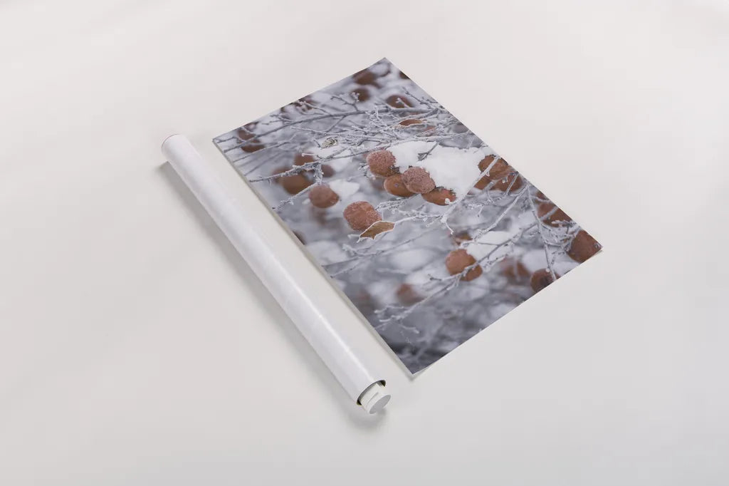 Orchard in Winter by Alan Majchrowicz. shown as a rolled paper print. Available as archival giclee rolled canvas, fine art paper, or poster print. SKU 60631i.