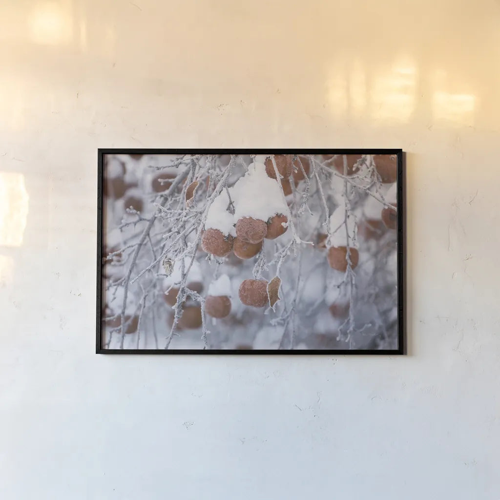 Orchard in Winter by Alan Majchrowicz. shown as a paper print in a black flame. Available as a archival giclee rolled canvas, fine art paper, or poster print. SKU 60631i.