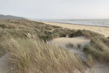 Oregon Dunes by Alan Majchrowicz. SKU 70365i. Archival Giclee Fine art print for wall decor.