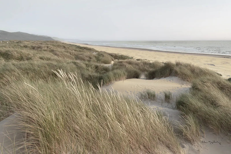 Oregon Dunes by Alan Majchrowicz. SKU 70365i. Archival Giclee Fine art print for wall decor.