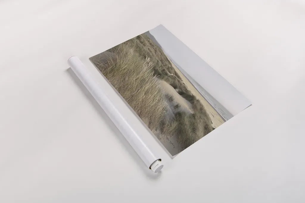 Oregon Dunes by Alan Majchrowicz. shown as a rolled paper print. Available as archival giclee rolled canvas, fine art paper, or poster print. SKU 70365i.